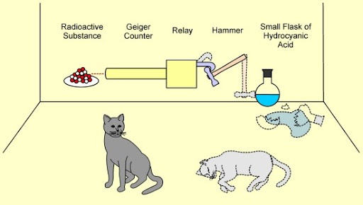 thought experiment